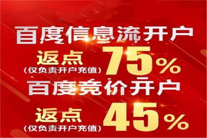SEM运营推广助力行业领导地位